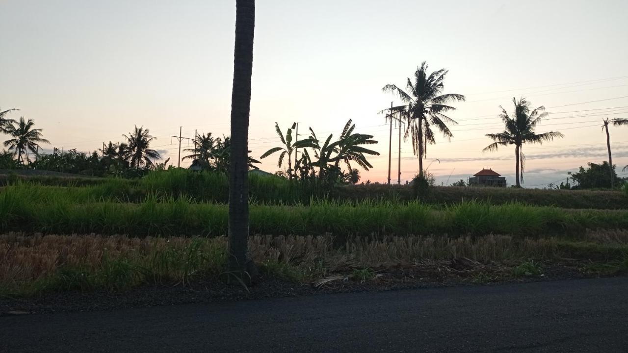 Neny'S Homestay サバ エクステリア 写真
